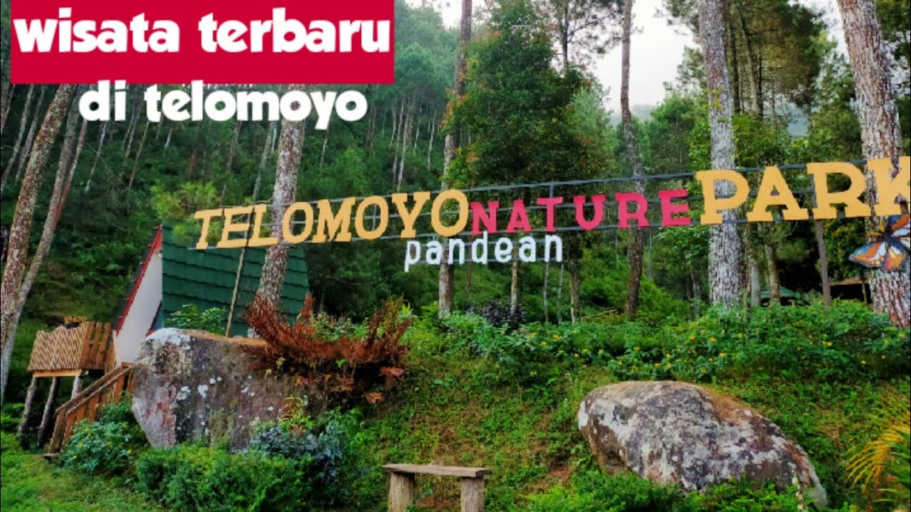 Telomoyo Nature Park: Surga Alam nan Eksotis di Jawa Tengah